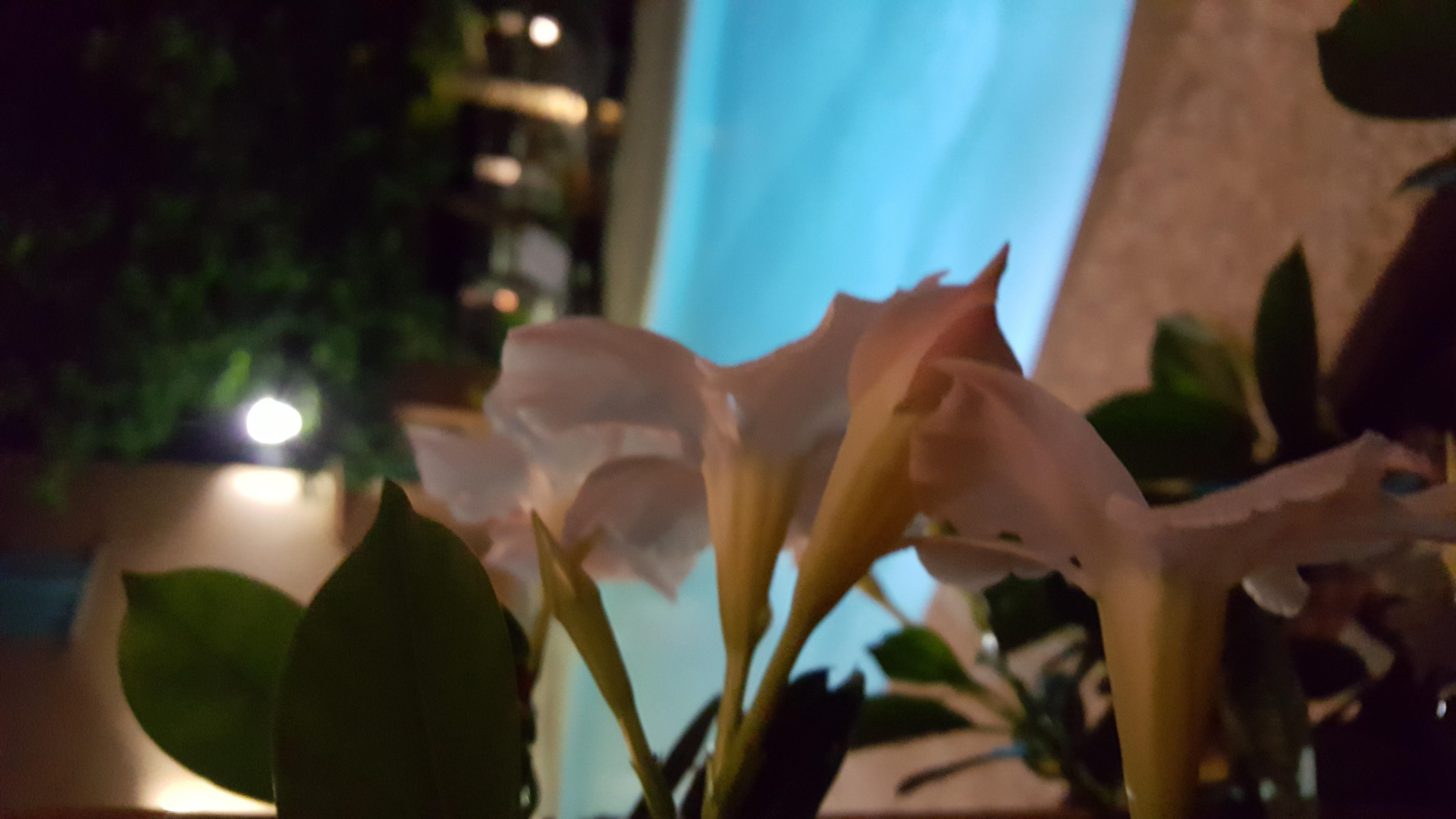 Les Jardins De La Glaciere Корте Екстериор снимка
